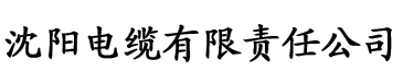 快豹官网网站电缆厂logo